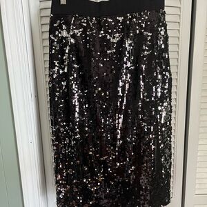 Sequin Black Skirt